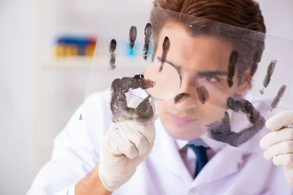 Forensic expert studying fingerprints in the lab