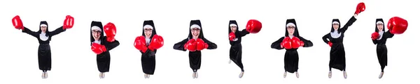 Freira com luvas de boxe isolado em branco — Fotografia de Stock