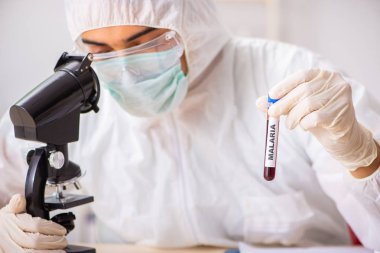 Genç yakışıklı laboratuvar asistanı hastanede kan örnekleri test ediyor. 