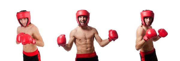 Boxer in rode helm en handschoenen geïsoleerd op wit — Stockfoto