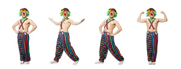 孤立的白色背景上的滑稽小丑 — 图库照片