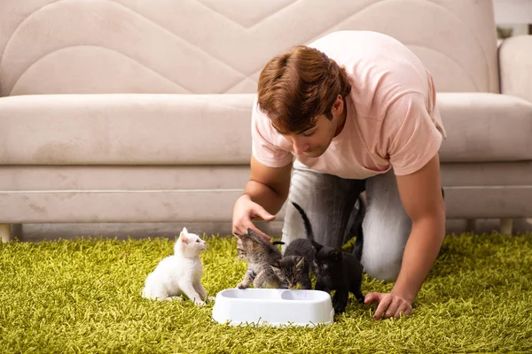 Jovem brincando com gatinho em casa — Fotografia de Stock