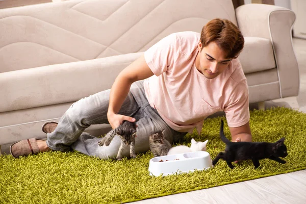 Jovem brincando com gatinho em casa — Fotografia de Stock