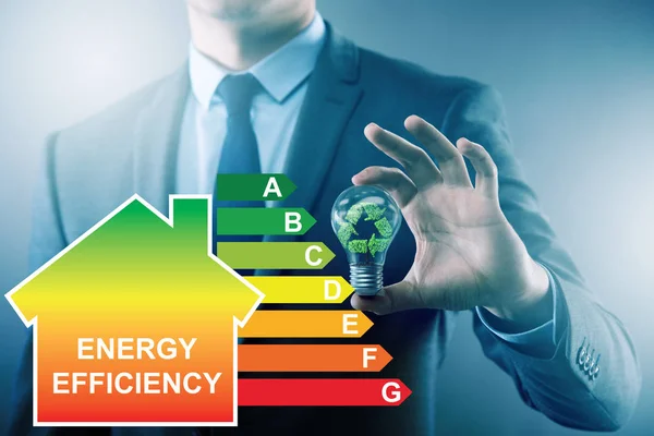 Affärsman inom energieffektivitetskonceptet — Stockfoto