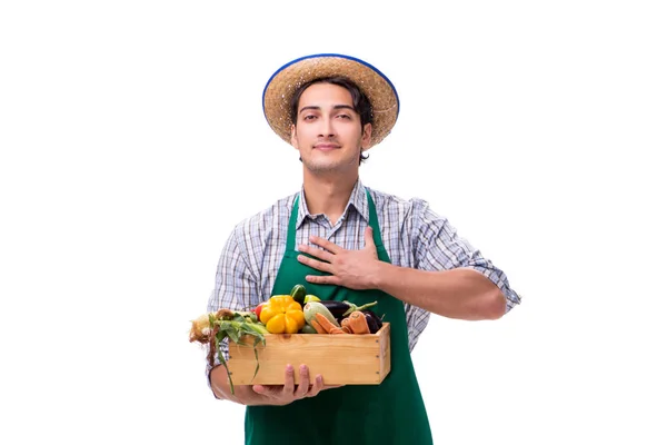 Jeune agriculteur avec des produits frais isolés sur fond blanc — Photo