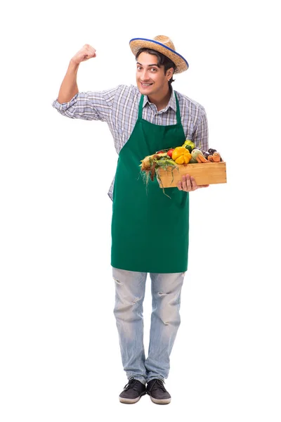 Joven agricultor con productos frescos aislados sobre fondo blanco —  Fotos de Stock