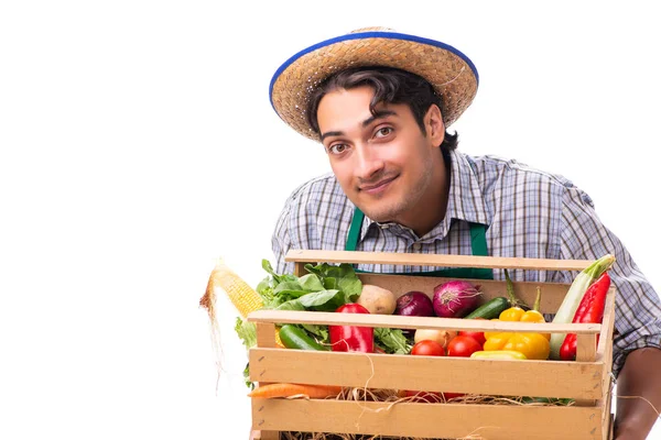 Jeune agriculteur avec des produits frais isolés sur fond blanc — Photo