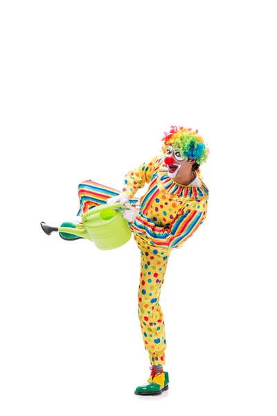 Grappige clown geïsoleerd op witte achtergrond — Stockfoto