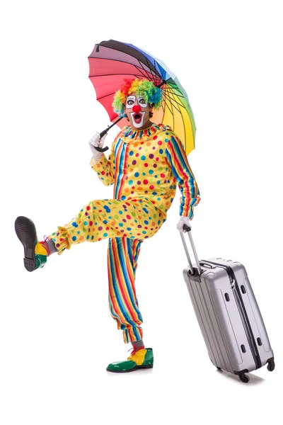 Funny clown isolated on white background — Stock Photo, Image