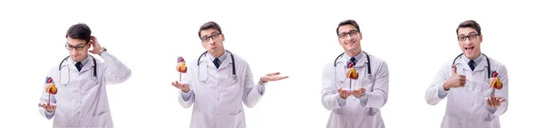 Junger Arzt mit Herzform isoliert auf weiß — Stockfoto