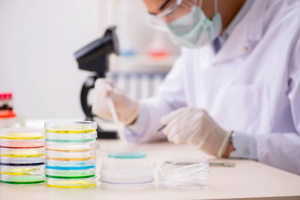 Young chemist working in the lab — Stock Photo, Image