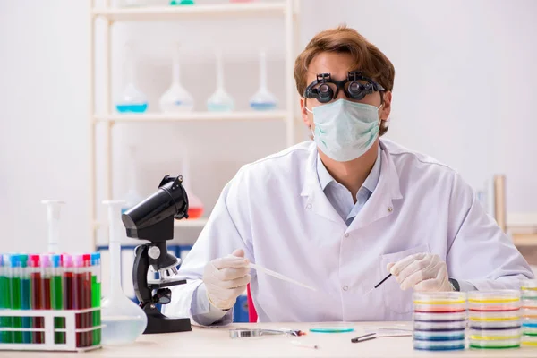 Young chemist working in the lab — Stock Photo, Image