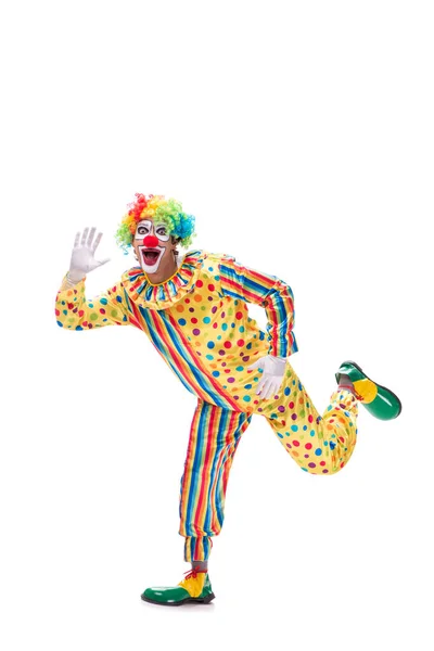 Grappige clown geïsoleerd op witte achtergrond — Stockfoto