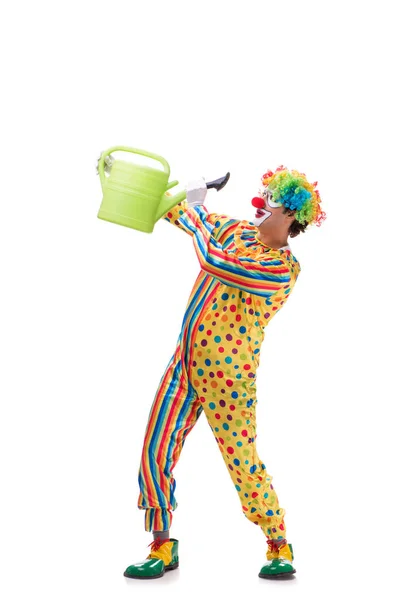 Funny clown isolated on white background — Stock Photo, Image