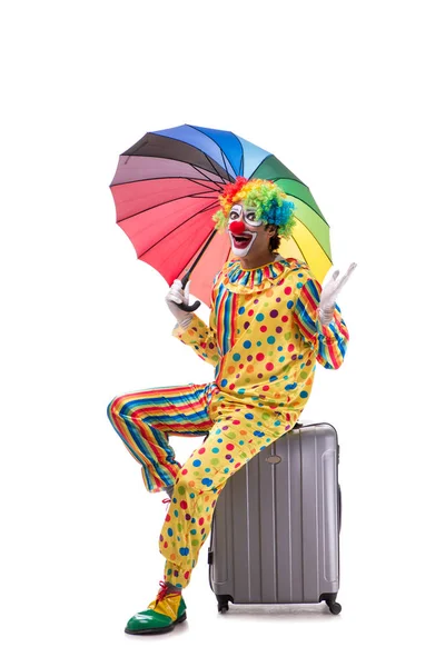 Funny clown isolated on white background — Stock Photo, Image