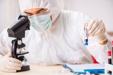 Genç yakışıklı laboratuvar asistanı hastanede kan örnekleri test ediyor. 