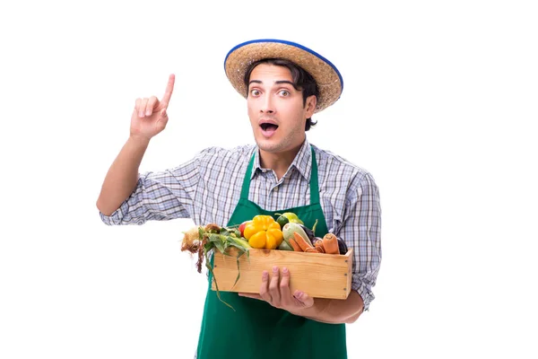 Jeune agriculteur avec des produits frais isolés sur fond blanc — Photo