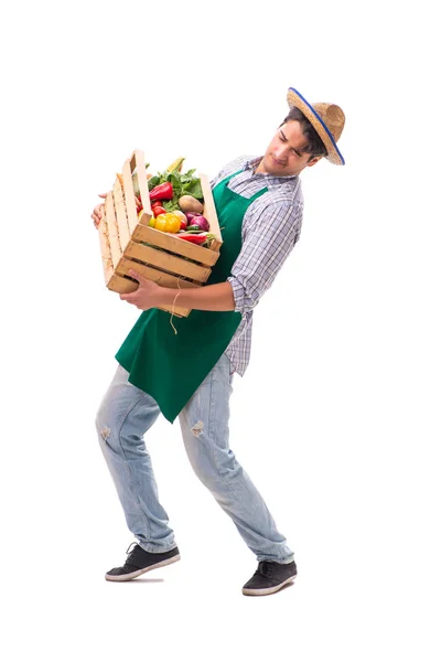 Jovem agricultor com produtos frescos isolados sobre fundo branco — Fotografia de Stock