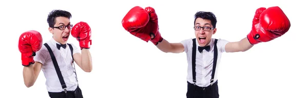 Boxeador divertido aislado en el fondo blanco — Foto de Stock