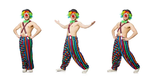 Grappige clown geïsoleerd op de witte achtergrond — Stockfoto