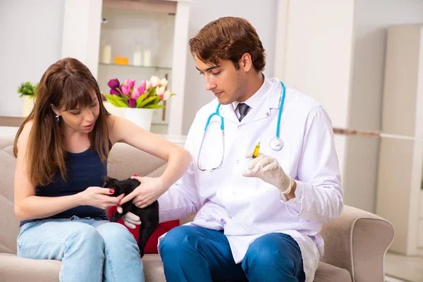 Médico veterinario visitando gatitos enfermos en casa —  Fotos de Stock