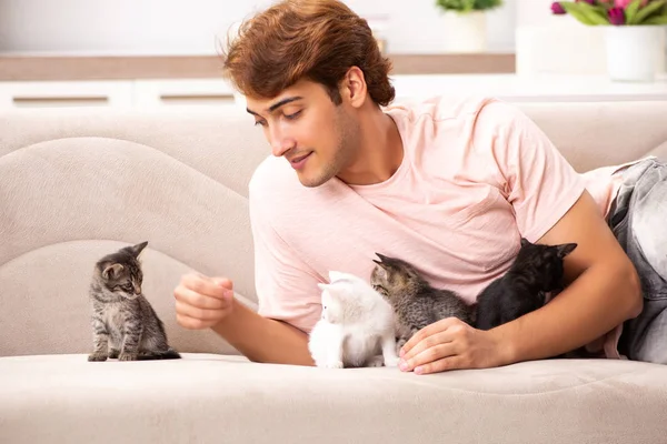 Young man playing with kitten at home — Stock Photo, Image