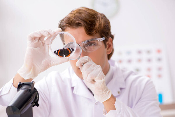 Ученый-энтомолог, изучающий новые виды бабочек
