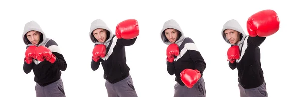 Boxeador divertido aislado en el blanco —  Fotos de Stock