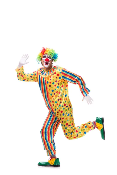 Grappige clown geïsoleerd op witte achtergrond — Stockfoto