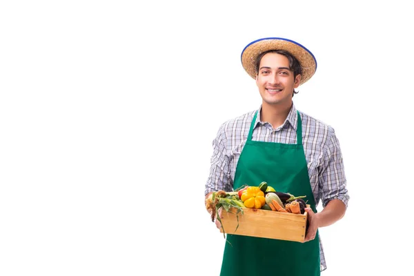 Joven agricultor con productos frescos aislados sobre fondo blanco —  Fotos de Stock