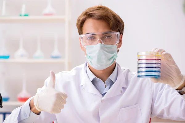 Junge Chemikerin arbeitet im Labor — Stockfoto