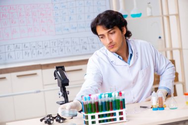 Laboratuvarda çalışan genç bir kimyager. 