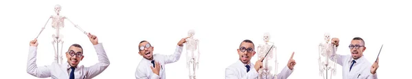 Doctor divertido con esqueleto aislado en blanco — Foto de Stock