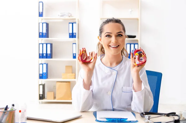 Junge Ärztin Kardiologin sitzt im Krankenhaus — Stockfoto