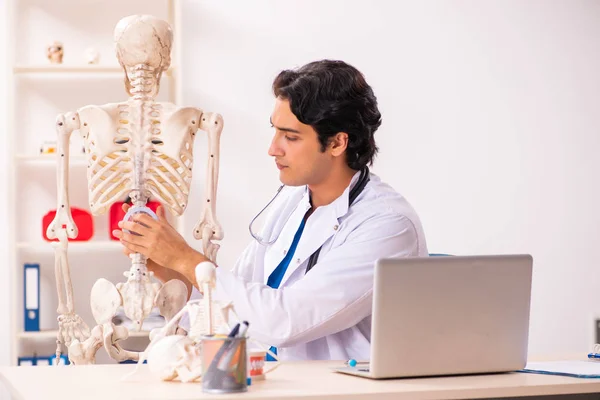 Jovem médico masculino com esqueleto — Fotografia de Stock