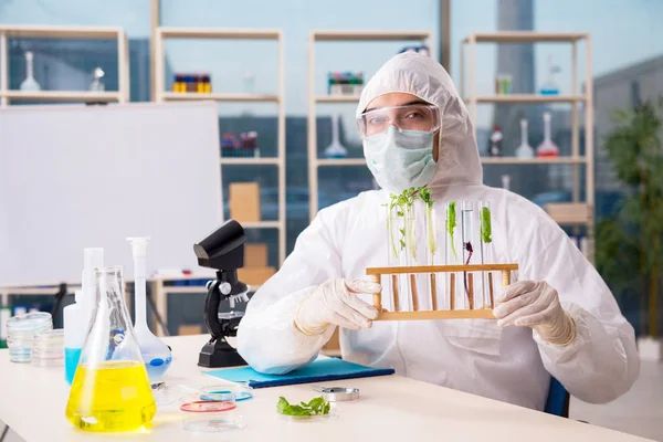 Hombre biotecnológico científico químico que trabaja en el laboratorio — Foto de Stock