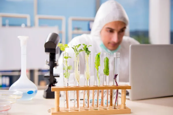 Químico cientista de biotecnologia do sexo masculino que trabalha no laboratório — Fotografia de Stock