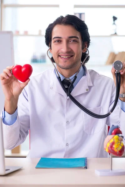 Genç yakışıklı doktoru kardiyolog beyaz tahta önünde — Stok fotoğraf