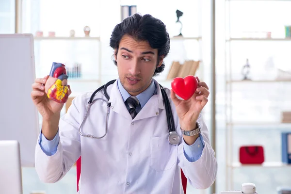 Młody przystojny lekarz kardiolog przed tablicy — Zdjęcie stockowe