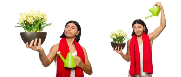 Jovem homem regando flores isoladas em branco — Fotografia de Stock