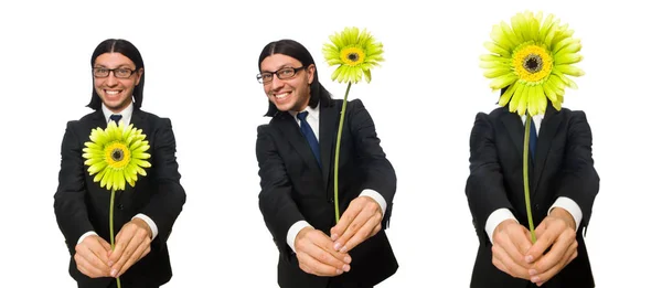 Handsome businessman with flower isolated on white — Stock Photo, Image