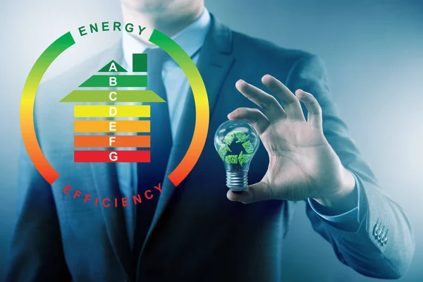 Affärsman inom energieffektivitetskonceptet — Stockfoto