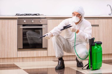 Profesyonel yüklenici mutfak at haşere kontrolü yapıyor