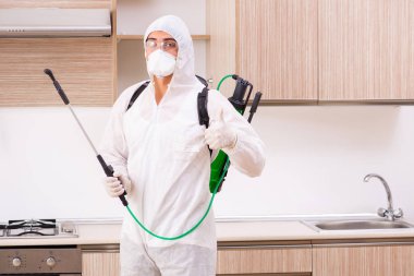 Profesyonel yüklenici mutfak at haşere kontrolü yapıyor