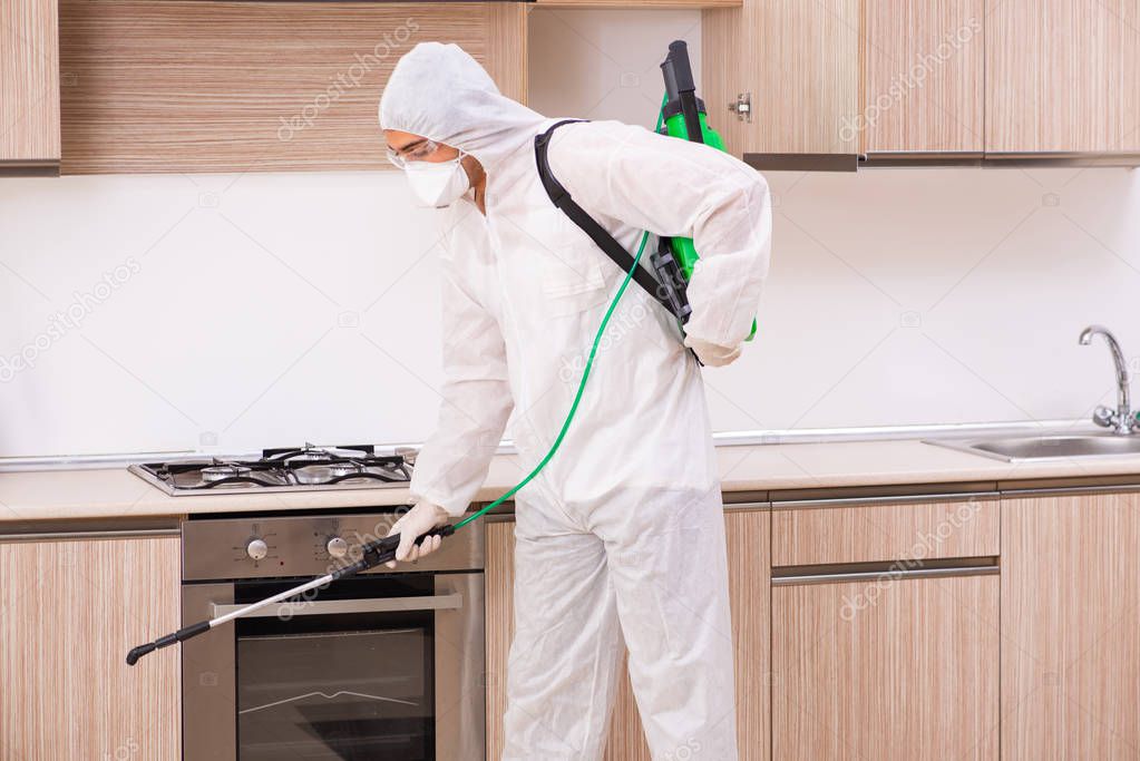 Professional contractor doing pest control at kitchen