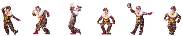 Funny male clown isolated on white — Stock Photo, Image