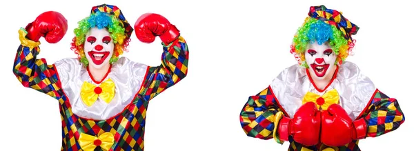 Buffo clown maschio con i guanti da boxe — Foto Stock