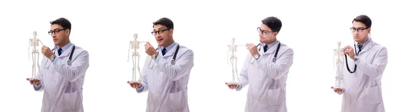 Yong male doctor with skeleton isolated on white — Stock Photo, Image