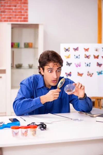 Student entomologist studying new species of butterflies — Stock Photo, Image