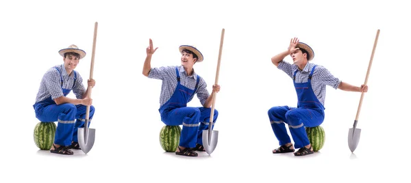 Young farmer with watermelon isolated on white — Stock Photo, Image